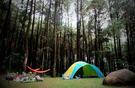 Trekking & Camping Hutan Pinus Ponbit